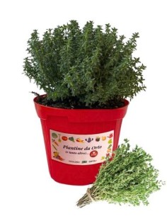 Timo Vaso diametro 14