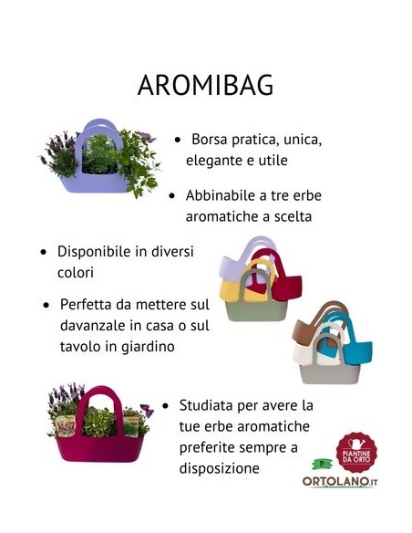 Ruta Vaso diametro 14