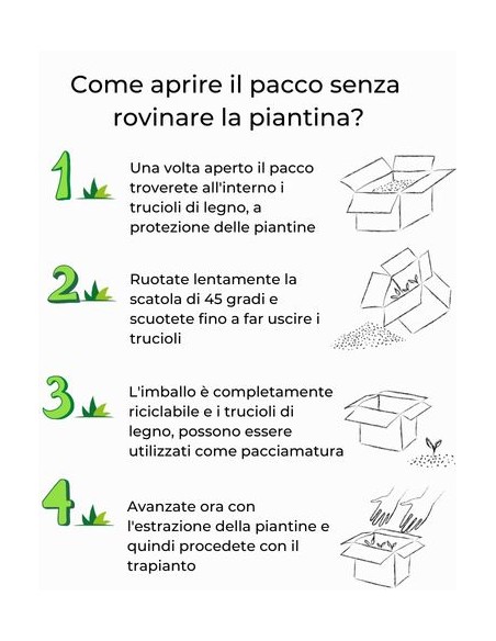 Pepe Acqua (rosso) Vaso diametro 14