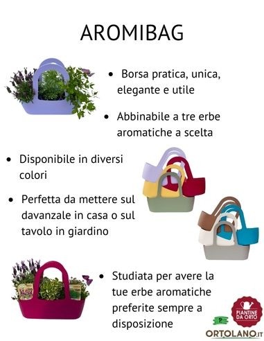 Oregano-Pfeffer-Glas, Durchmesser 14