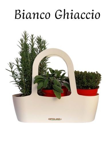 Aromibag