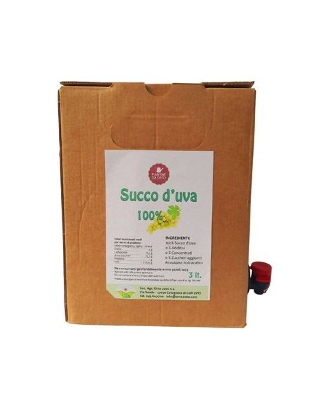 Succo di Uva 3 Lt. 100% Naturale