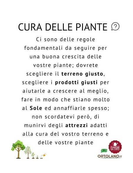 CAPPELLO ALPINETTO IN PAGLIA NATURALE AL 100% (v005026)