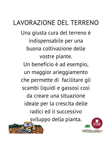RASTRELLO 14 DENTI (V003285)