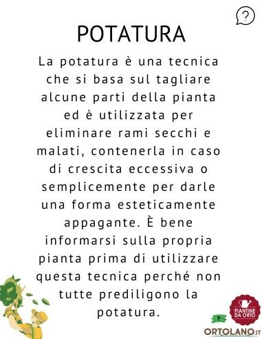 TELO PROTEZIONE E FORZATURA 10X2 M (V002547)
