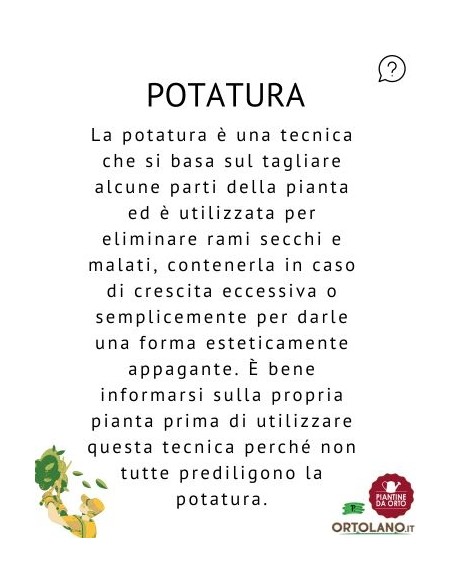 TELO PROTEZIONE E FORZATURA 10X2 M (V002547)