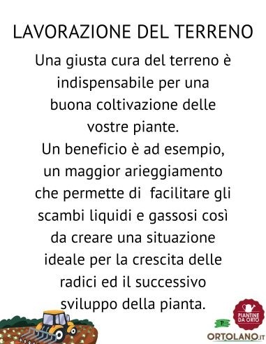 PICCHETTI ACCAIO ZIN. 50X145 MM 3 MM DIAMETRO...