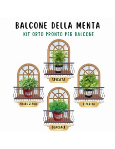 Balcone della Menta_ Kit Orto Pronto_Orto sul balcone