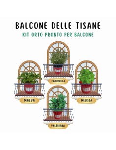 Balcone delle tisane_ Kit Orto Pronto_Orto sul balcone
