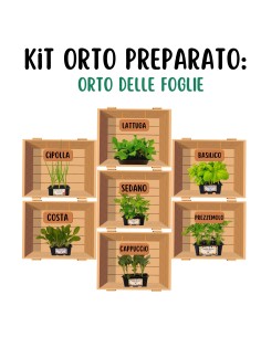 Orto delle foglie_ Kit Orto Pronto