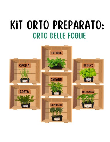 Orto delle foglie_ Kit Orto Pronto