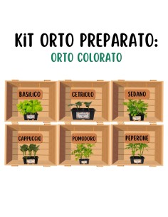 Orto colorato_ Kit Orto Pronto