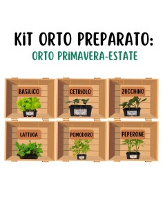 Orto Primavera - Estate
