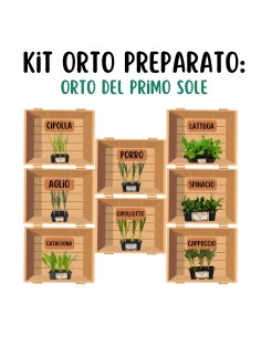 Orto del primo Sole_ Kit Orto Pronto