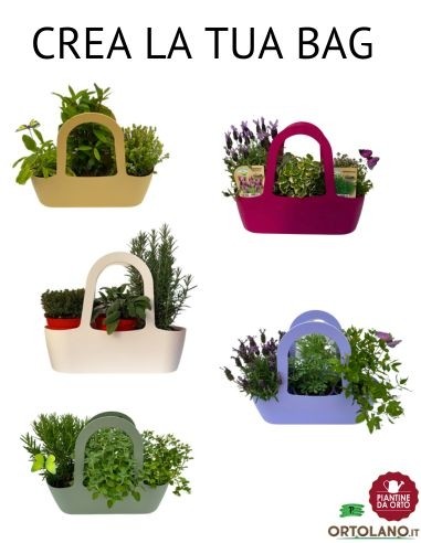 Bag Bianca_ Cesto Prodotti Culinari 100% Naturali