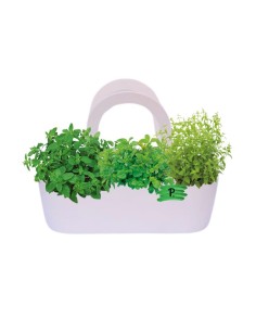 Aromi Bag già composta colore Bianco  (Menta piperita...