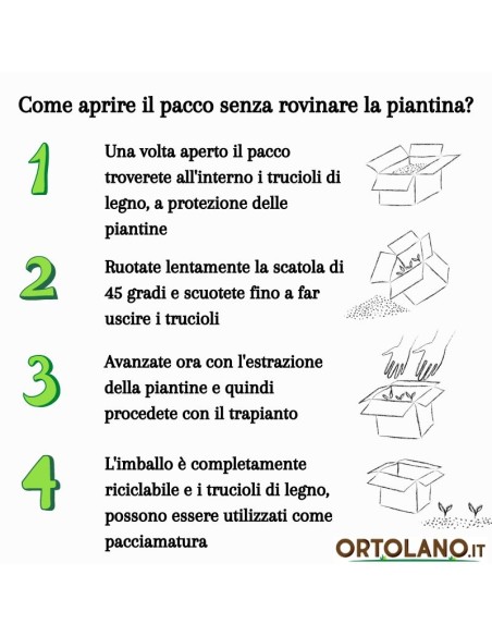 Aromi Bag già composta  Menta piperita -Menta glaciale -Menta spicata