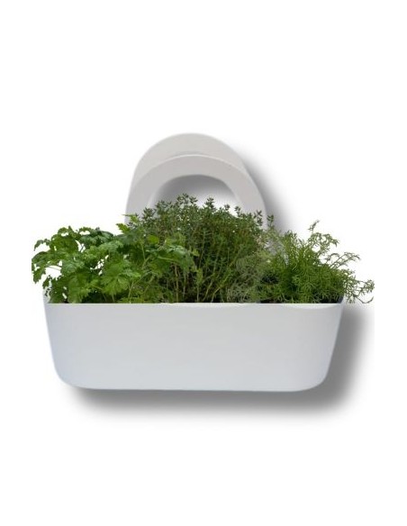 Aromabeutel, bereits zusammengestellt: Mutterkraut - Thymian - Wilder Fenchel