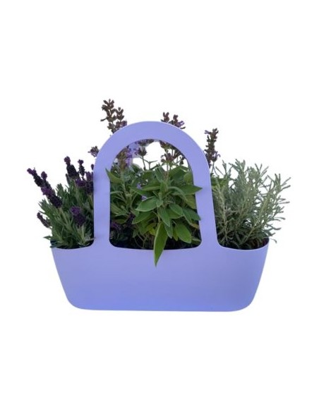 Aromi Bag già composta Salvia -Lavanda Stoaches-Santolina 
