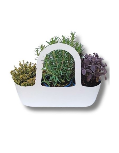 Aromi Bag già composta Timo Aureo-Rosmarino-Salvia Foglia Rossa 