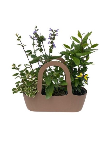 Aromi Bag già composta Incenso-Salvia-Alloro 