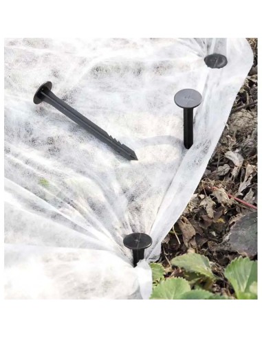 Chiodo fissatelo e ferma-film 