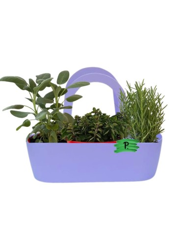 Duftbeutel aus Rosmarin, Salbei und Oregano
