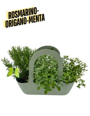 Aromi Bag composta da Rosmarino-Origano-Menta 