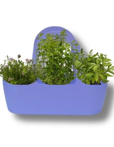 Aromi Bag  composta da Santoreggia-Menta-Salvia
