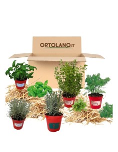 Balcone dei profumi_ Kit Orto Pronto_Orto sul balcone