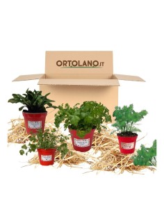 Balcone dei dolci_ Kit Orto Pronto_Orto sul balcone