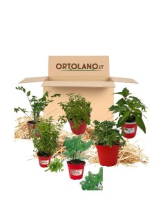 Balcone per cocktail_ Kit Orto Pronto_Orto sul balcone