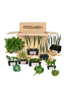 Orto del primo Sole_ Kit Orto Pronto