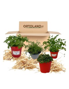 Balcone delle tisane_ Kit Orto Pronto_Orto sul balcone