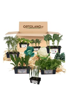 Orto Autunnale_ Kit Orto Pronto