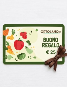 Geschenkgutschein 25