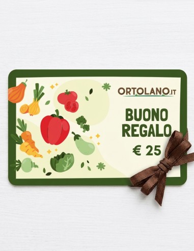 Buono Regalo 25 