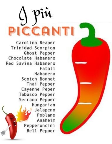 Peperoncino Cornuto Arancione Thai Orange Vaso 14