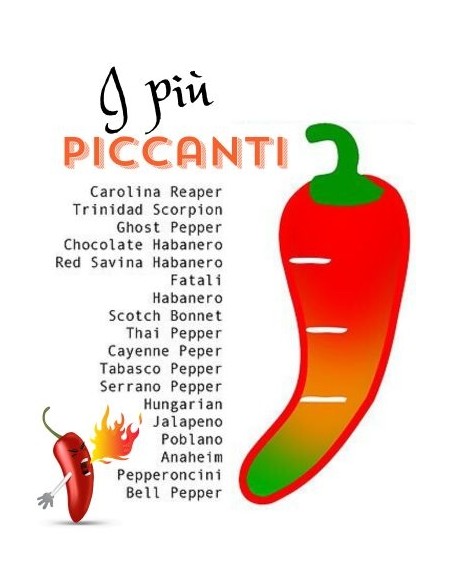 Peperoncino Cornuto Arancione Thai Orange Vaso 14