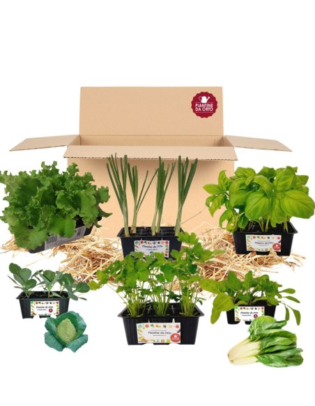 Orto delle foglie_ Kit Orto Pronto