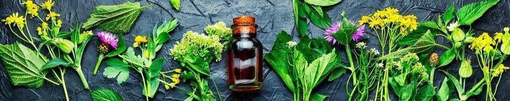 Aromatische Kräuter | Online-Verkauf | Ortolano.it