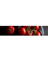 Pomodori